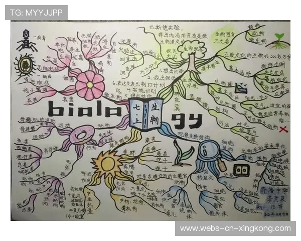 取分压力与客队应对策略——打造高效比赛心态的秘密武器